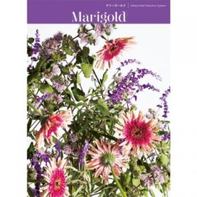 カタログギフト（引っ越し祝い向き）