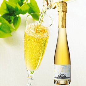 アイスワインギフト