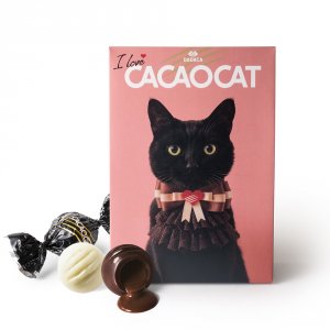 カカオキャット（CACAOCAT） 猫のチョコレート