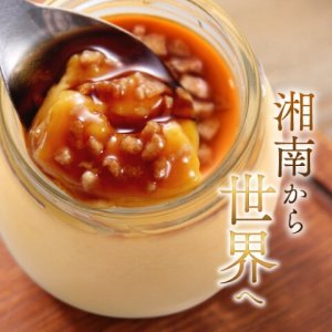 プリン総合研究所 プリン