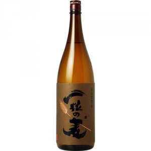 一粒の麦（西酒造） 麦焼酎