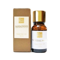 トコ・パラス（Toko Paras）