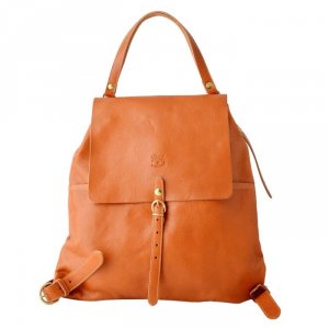 イル ビゾンテ（IL BISONTE） 革リュック