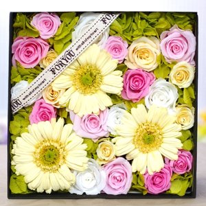 プリザーブドフラワーIPFA フラワーボックス