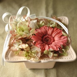 ガーベラのプリザーブドフラワー