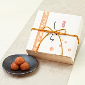 紀州梅の里なかた 梅干し
