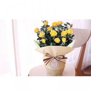 フロレアル（FLOREAL） 鉢植え