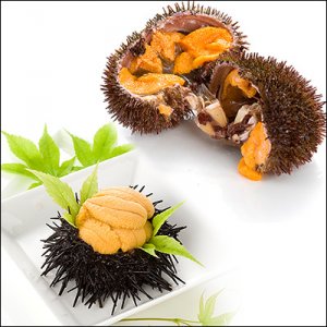 礼文島の四季 ウニ