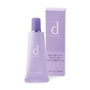 ｄ プログラム（d program）