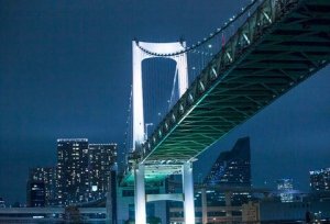 クルージングチケット