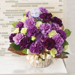 ムーンダスト（カーネーション）