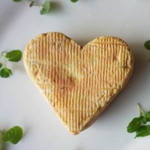 フェルミエ（Fermier） チーズ