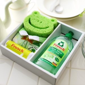 Frosch（フロッシュ）