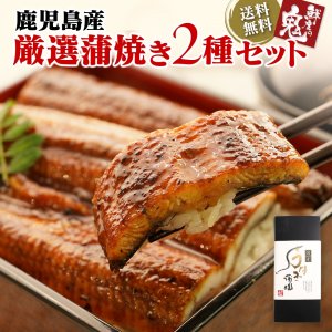 神戸CRAB うなぎ