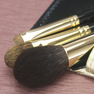 メイクブラシセット