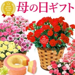 おいもや（Oimoya）