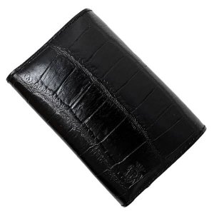 フェリージ（Felisi） パスケース