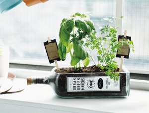 ハーブ栽培キット