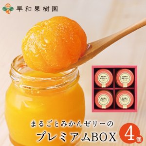 早和果樹園 ゼリー