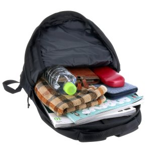 ジェミニ（Gemini）