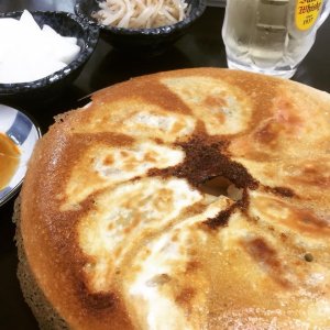 羽根木餃子 餃子