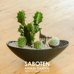 フルール バザール（Fleur Bazar）