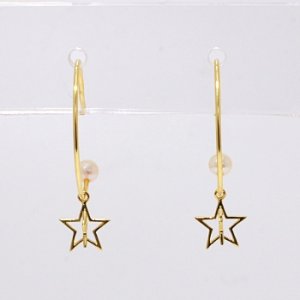 真珠の卸屋さん  ピアス