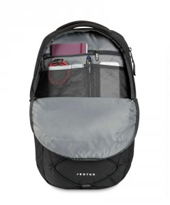 ジェスター（Jester）