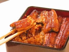 うなぎのたなか うなぎ