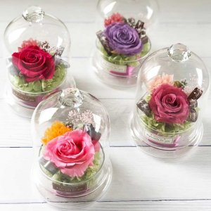 ガラスドームアレンジ