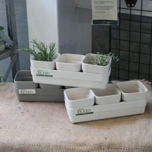 スパイス（SPICE） 雑貨