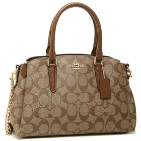 シグネチャー ミニ セージ キャリーオール