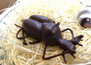 昆虫チョコ