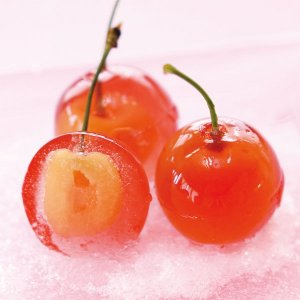 サエグサファクトリー ゼリー