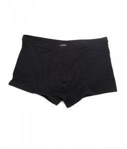 ネロペルラ（Neroperla）