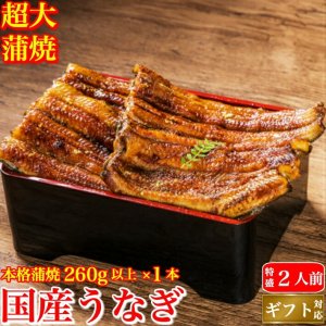 池澤鮮魚 うなぎ