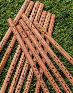 ラピス ウッディねーむ鉛筆