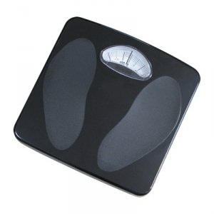 テライヨン（Terraillon）