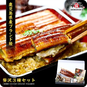 越前かに職人甲羅組 うなぎ