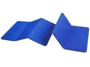 秦運動具工業（HATAS）