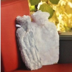 フーゴフロッシュ（HUGO FROSCH）