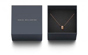 ダニエルウェリントン（Daniel Wellington） ステンレスネックレス