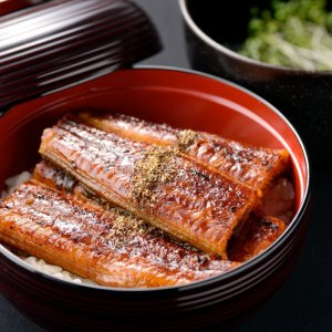 うなぎの蒲焼き