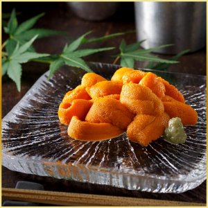 礼文島の四季 ウニ