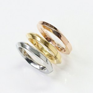 PPP ステンレスリング