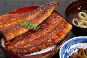 うなぎ屋かわすい うなぎ