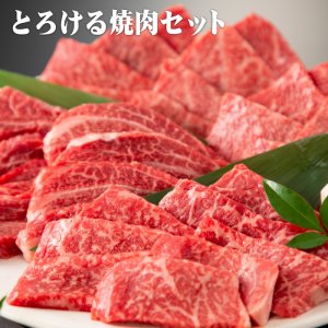 阿波牛の藤原 焼き肉