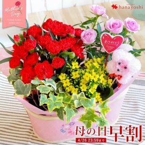 フラワーマーケット花由 鉢植え