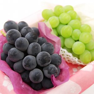 フルーツギフト