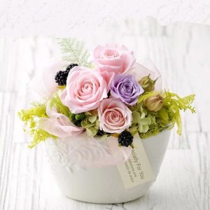 ポットアレンジ